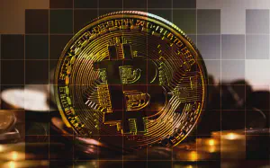 Teen Has 'Strong Incentives to Flee' After Pleading Guilty to 245M USD Bitcoin Heist